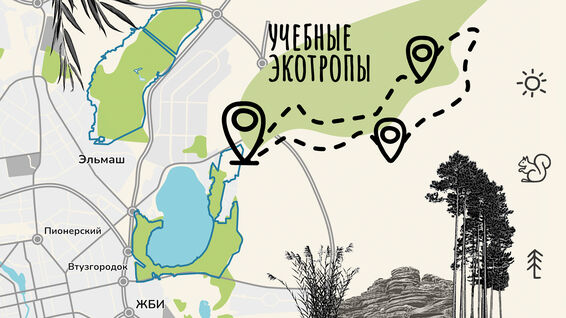 Разрабатываем учебные экотропы и&nbsp;информационные стенды в&nbsp;лесных парках